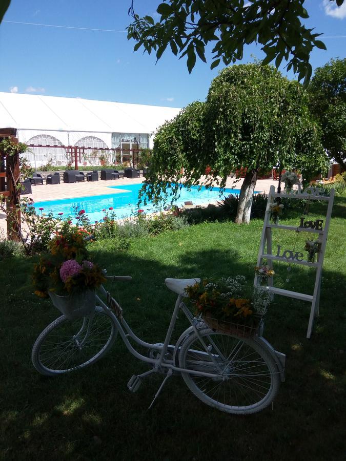 Hotel Casa Danielescu Târgu Jiu Esterno foto