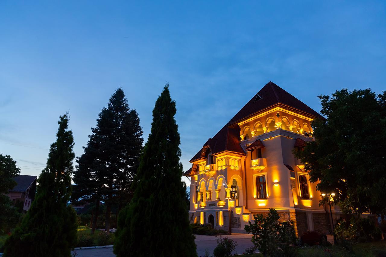 Hotel Casa Danielescu Târgu Jiu Esterno foto